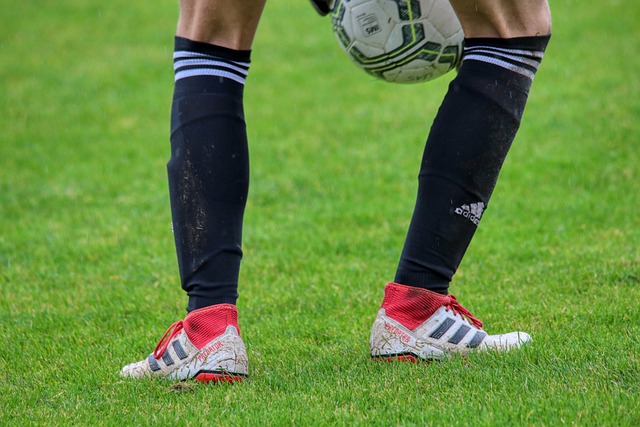 国际奥林匹 国际奥林匹