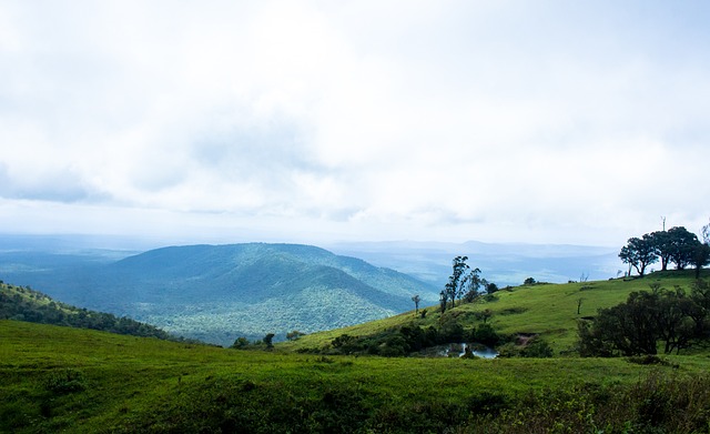 因此乱了阵 因此乱了阵