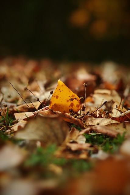 息与兑奖期 息与兑奖期