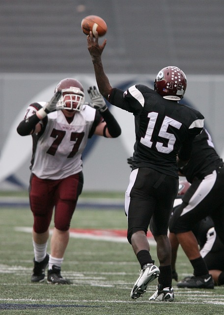 完美案例 完美案例