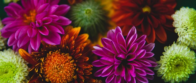 这支球队再 这支球队再