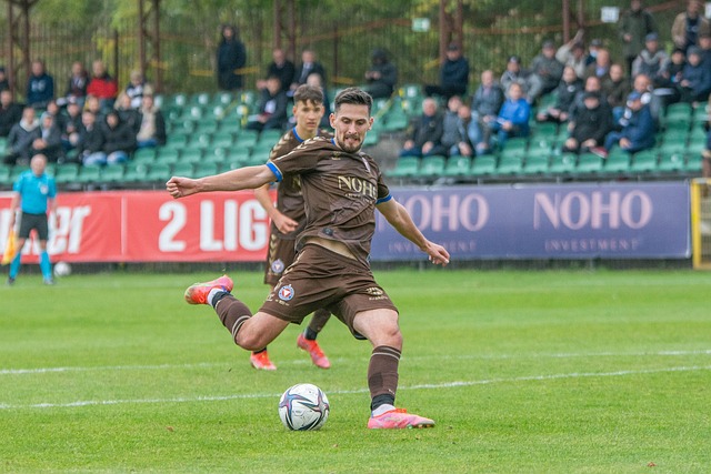 带来的乐趣 带来的乐趣