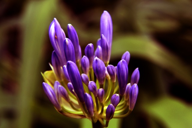 待遇备受关 待遇备受关